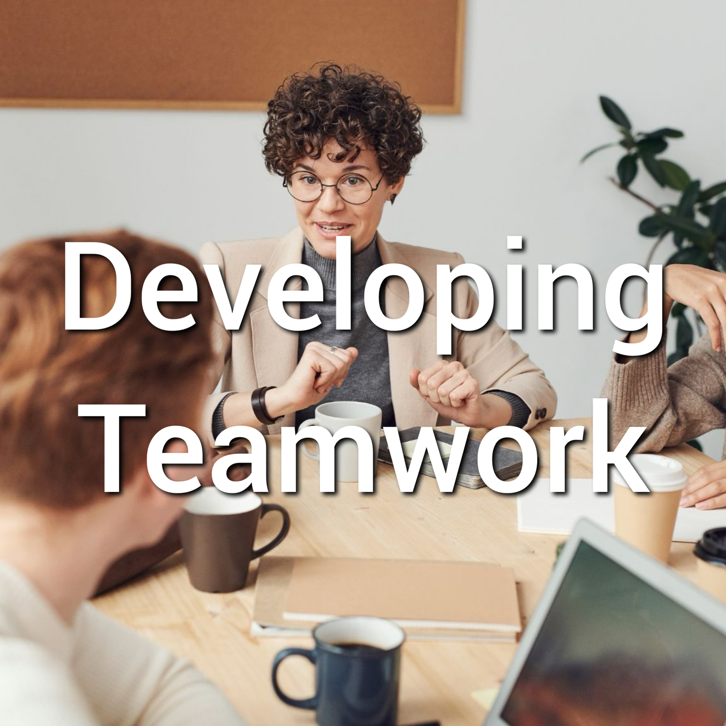 Developing Teamwork