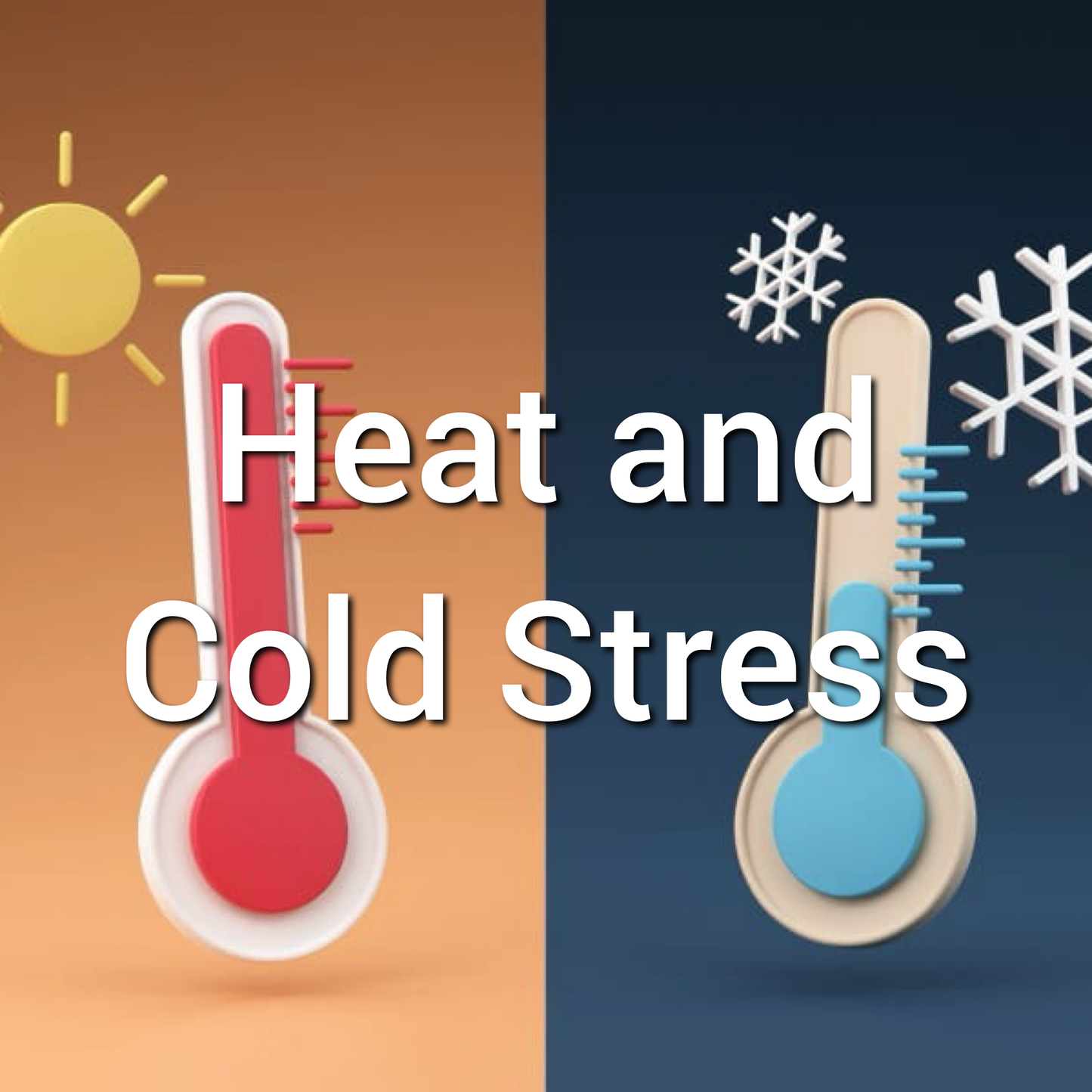 Heat and Cold Stress