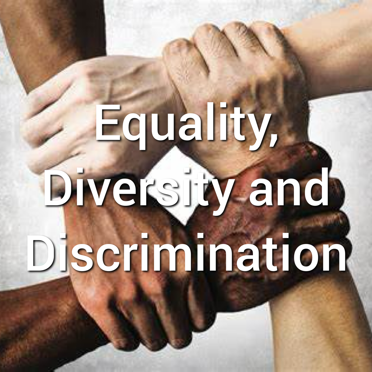 Equality, Diversity and Discrimination