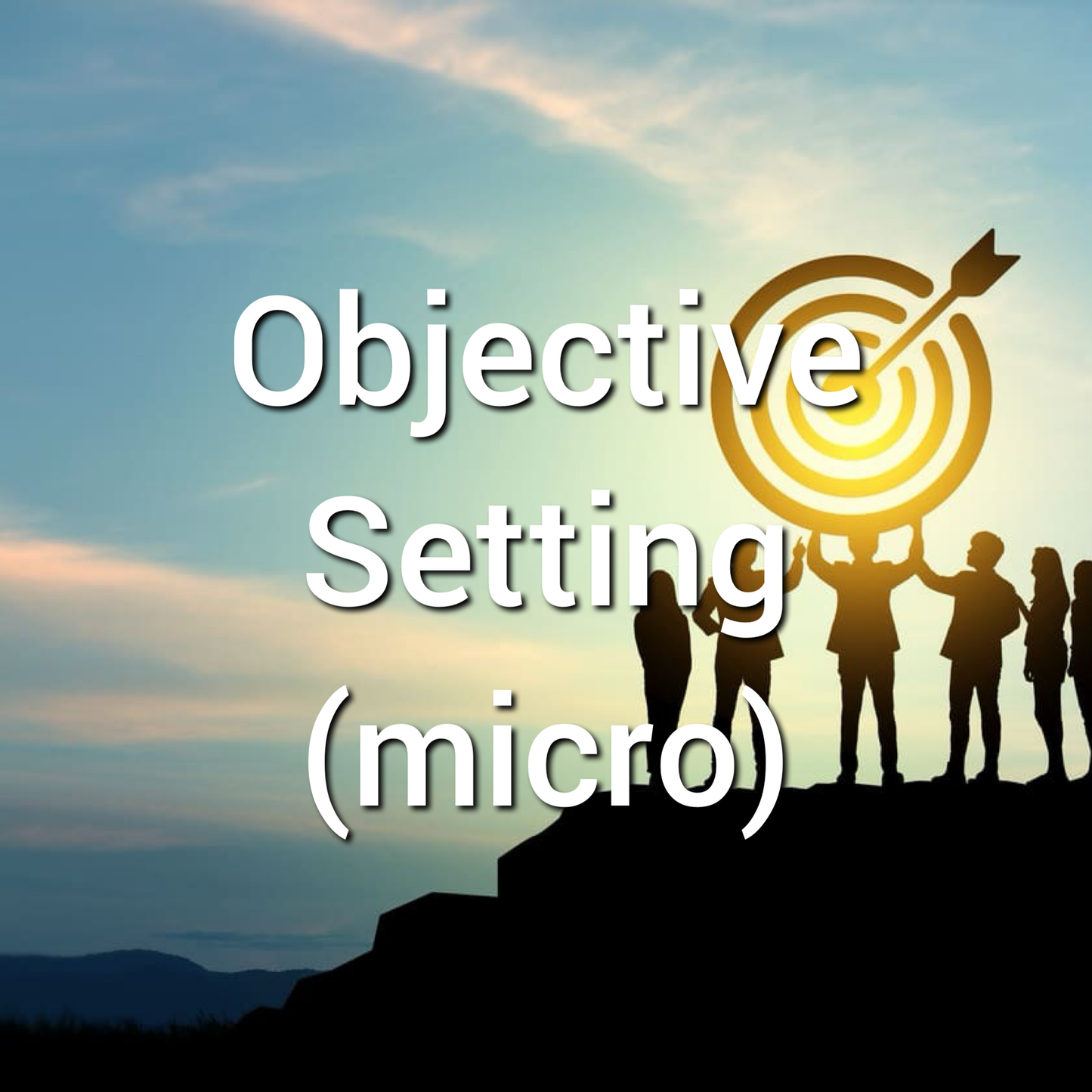 Objective Settings - Why goals and objectives are important (micro)