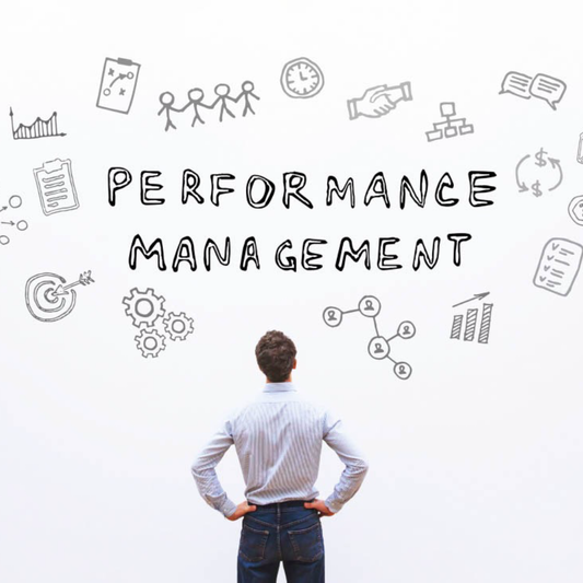 Performance Management - Successful Performance Management Planning (micro)